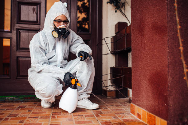 Reliable Cockroach Control contractor in Carolina Forest, SC by Nex Pest Control