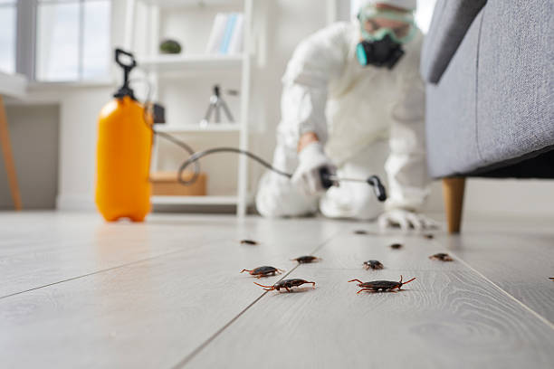 Trusted Cockroach Control service in Carolina Forest, SC - Nex Pest Control