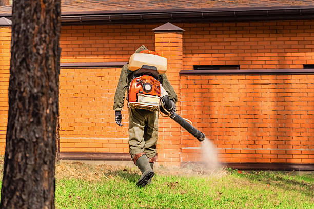 Trusted Bed Bug Control service in Carolina Forest, SC - Nex Pest Control